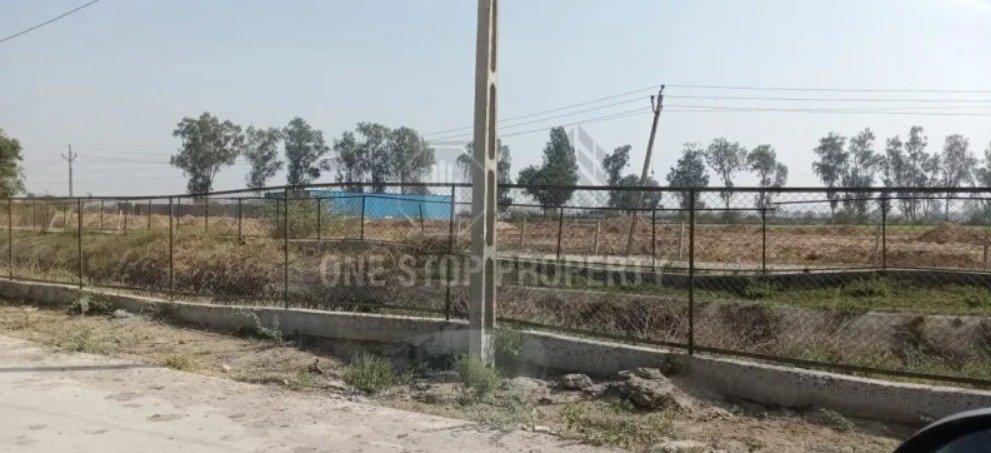 Plot For Sell In Tajpur